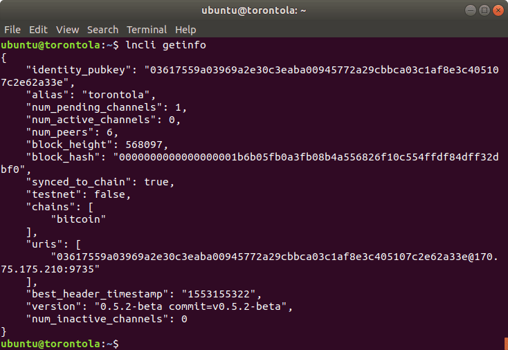 A screenshot of an open channel in Terminal.