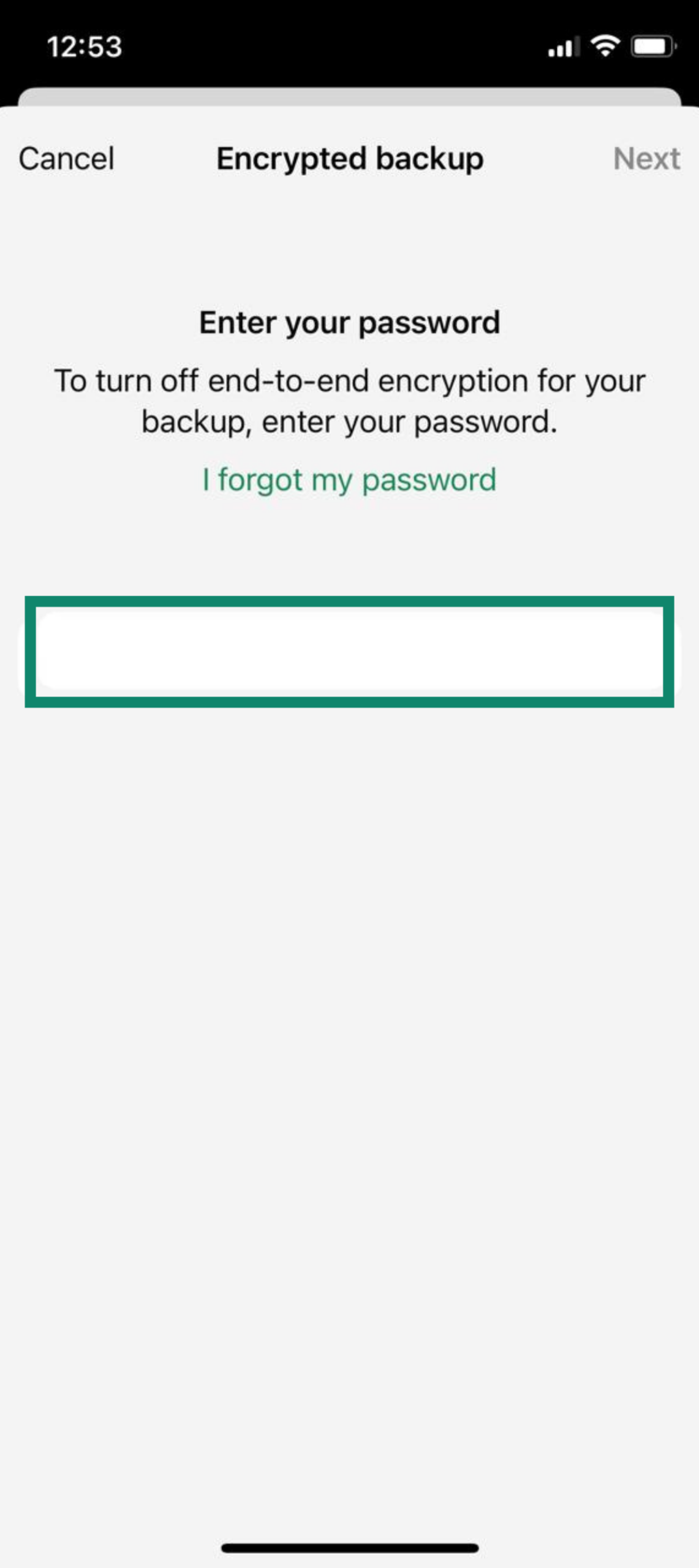 Password entry screen to disable end-to-end encrypted backup on iPhone