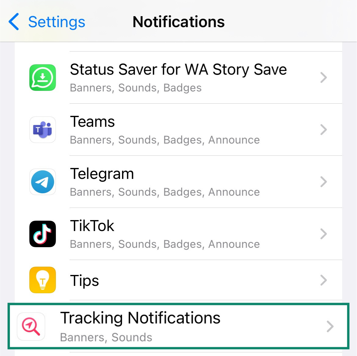Screenshot of a section of the iOS Notifications menu options with Tracking Notifications selected.