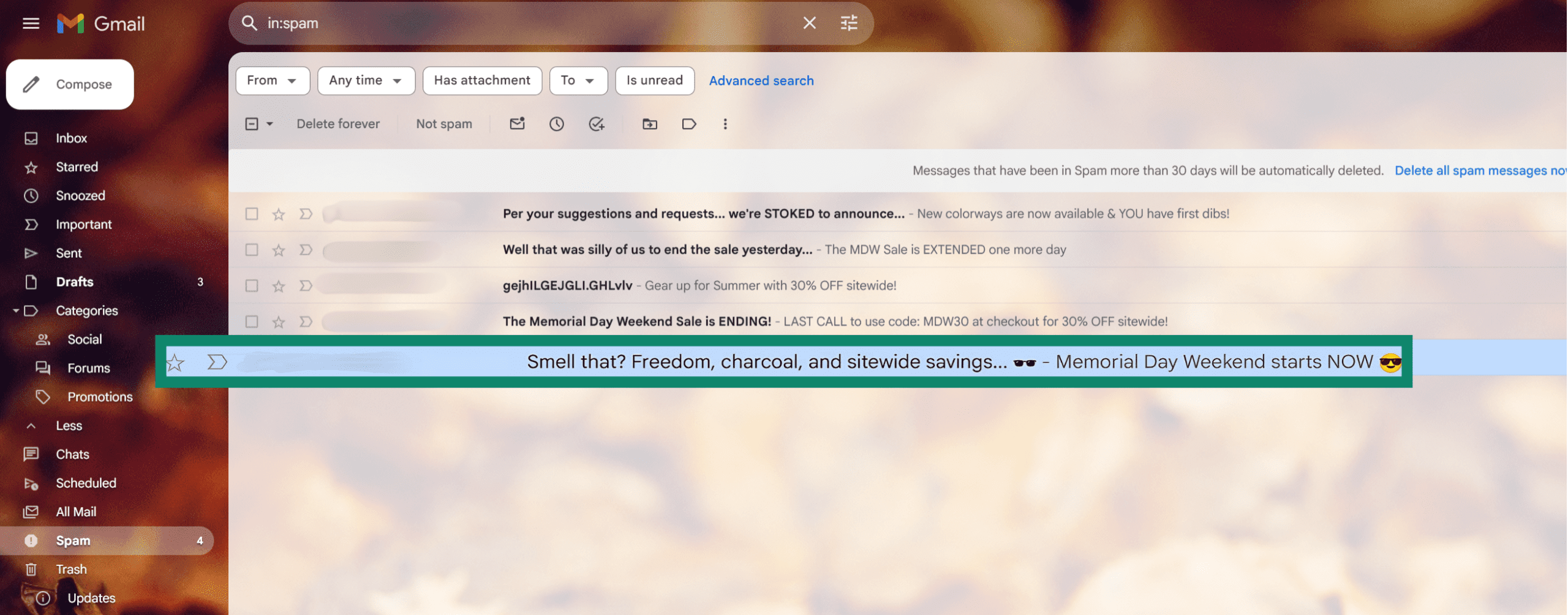 Gmail spam folder with a highlighted email.