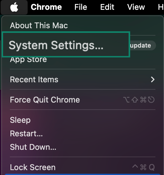 Mac display showing the System Settings button.