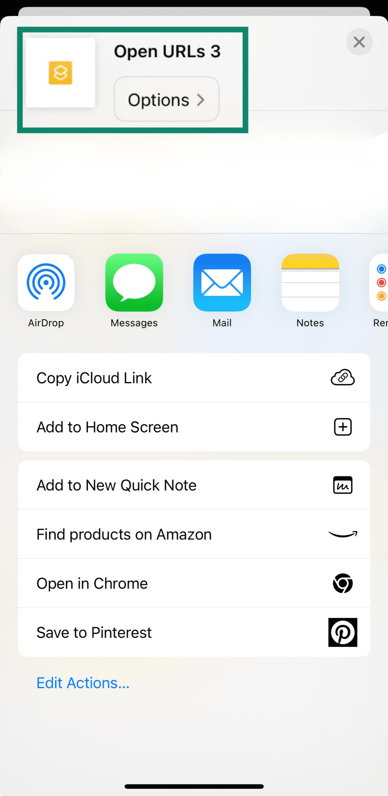 The Open URLs function of an iPhone.