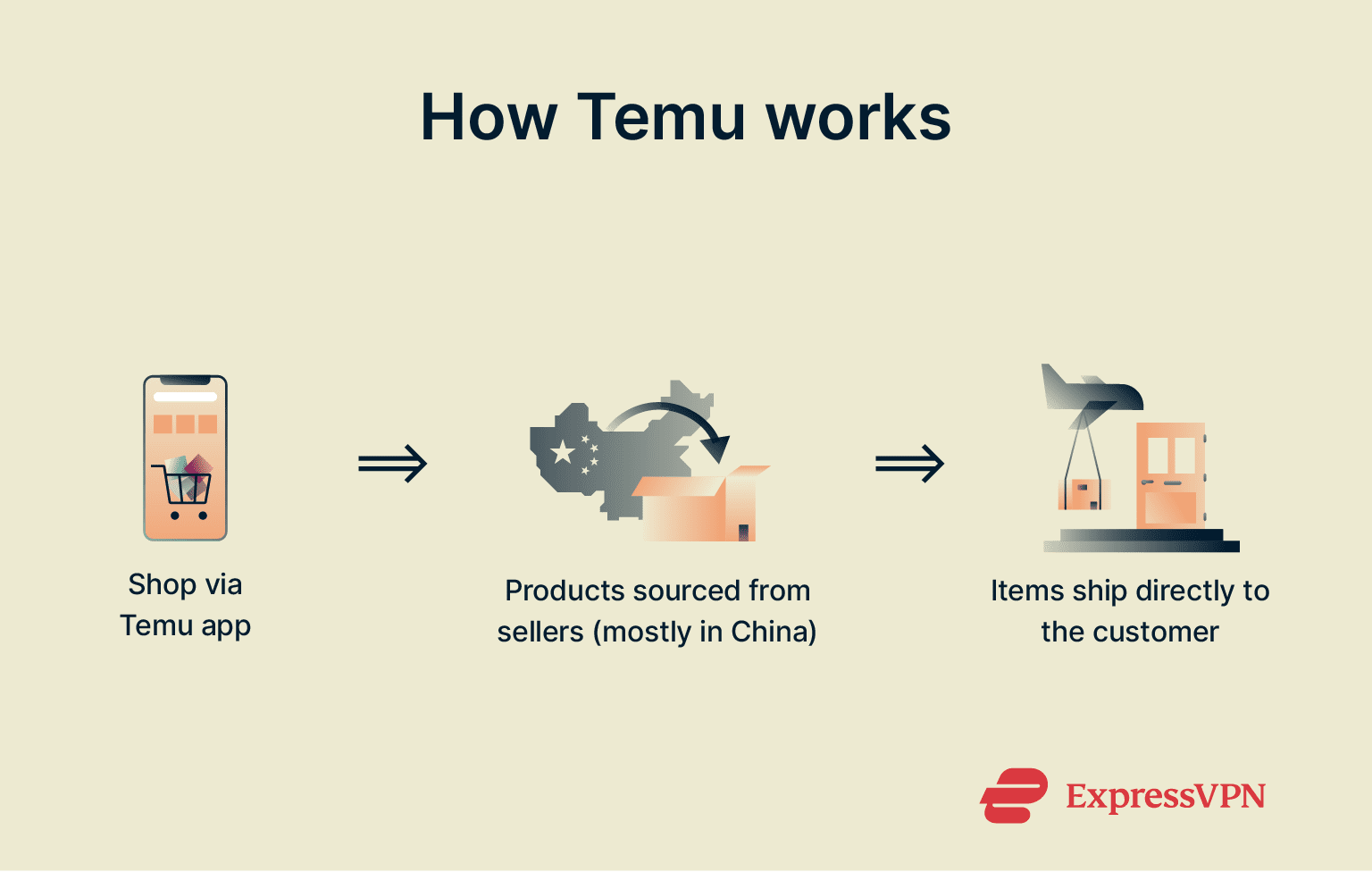 Infographic showing how Temu works.