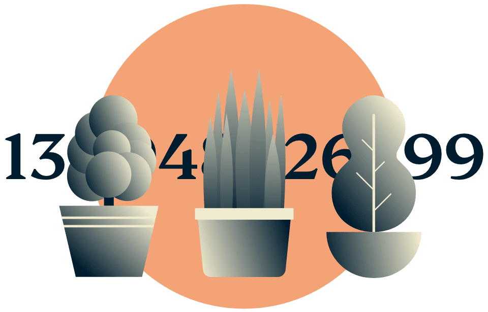 Masquez votre adresse IP : Des plantes en pot qui cachent une adresse IP.