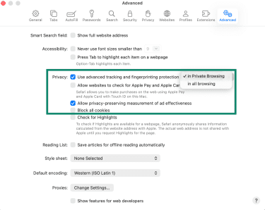 Advanced settings in Safari browser, with the Privacy section highlighted.