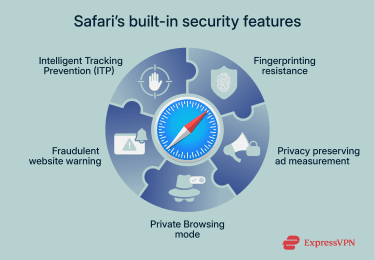 Safari's built-in browser-level security features.
