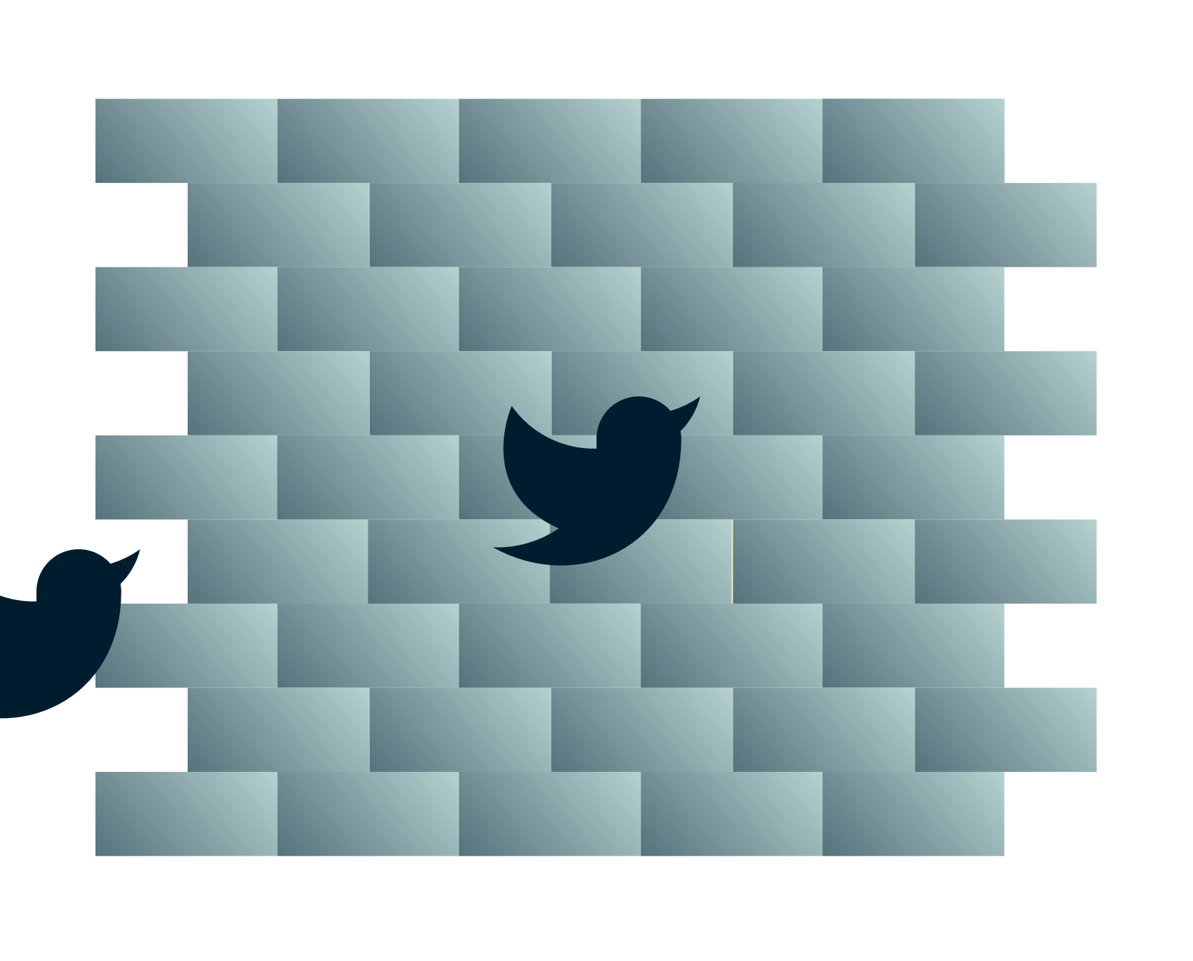 Les oiseaux Twitter se dirigent vers un mur.