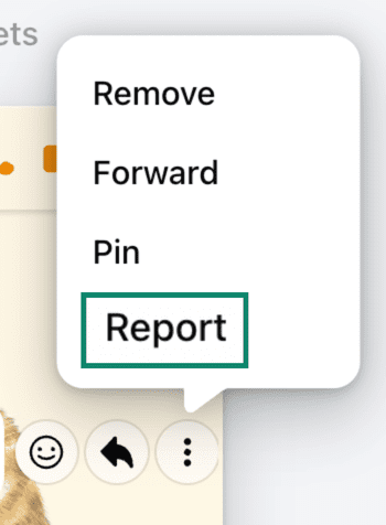 Reporting a message on Facebook.