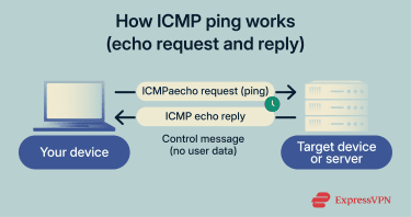 ICMP ping exchange between a device and a server.