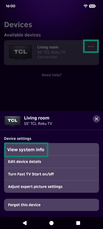 "View system info" highlighted on the Roku mobile app.