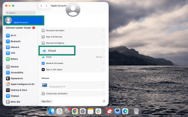 iCloud in Mac settings