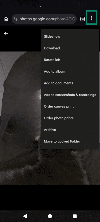 An image opened on Google Photos, emphasizing the three vertical dot menu bar.