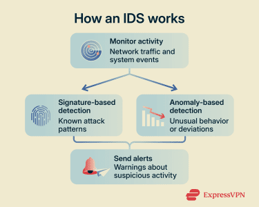 A visual showing how IDS solutions work.